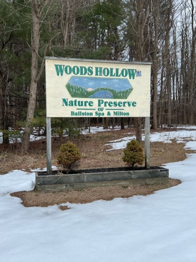 Woods Hollow Nature Preserve: Ballston Spa Discusses Sale